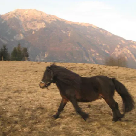 Haus Kaiser * Passriach