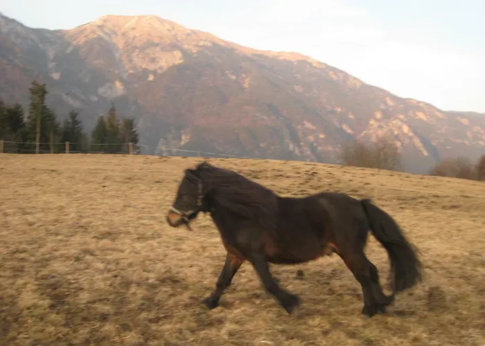 Haus Kaiser * Passriach